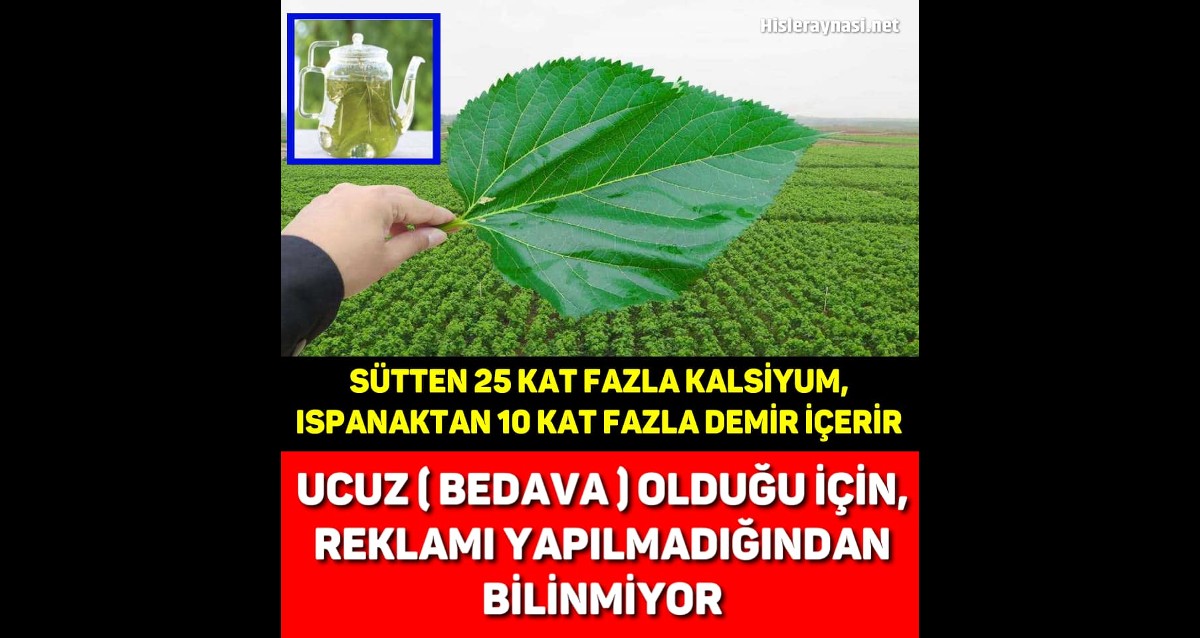 UCUZ ( BEDAVA ) OLDUĞU İÇİN, REKLAMI YAPILMADIĞINDAN BİLİNMİYOR